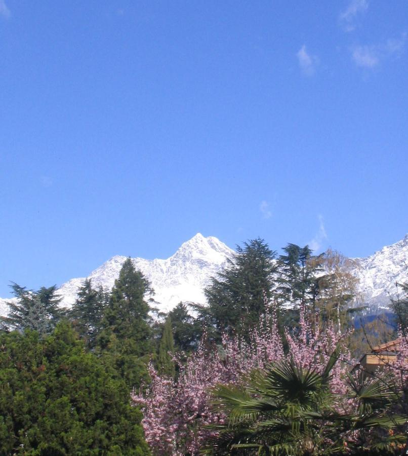 Hotel Zima Merano Eksteriør billede