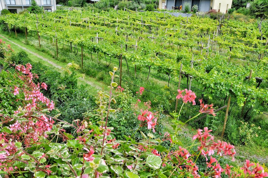 Hotel Zima Merano Værelse billede