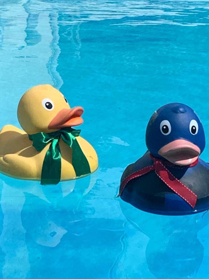 Hotel Zima Merano Eksteriør billede