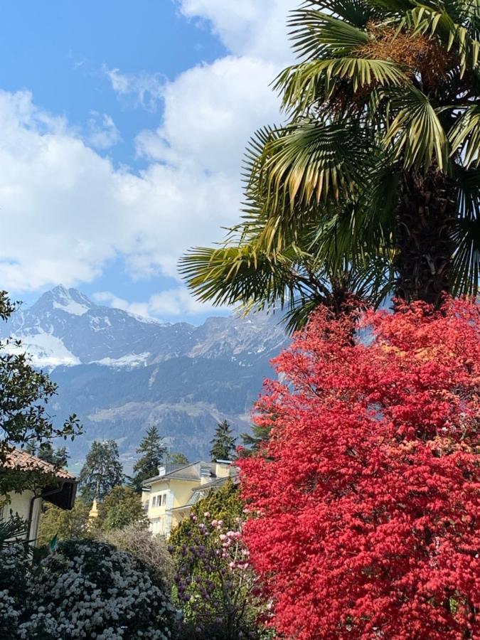 Hotel Zima Merano Eksteriør billede